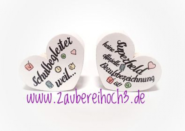Wende MH Schulbegleiter